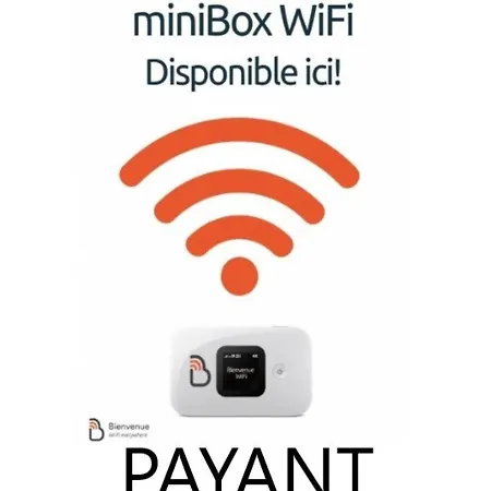 Appartement Centre-ville Avec Piscine Et Wifi - Fr-1-296-399